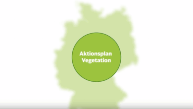 Deutsche Bahn macht Verkehr sturmsicherer